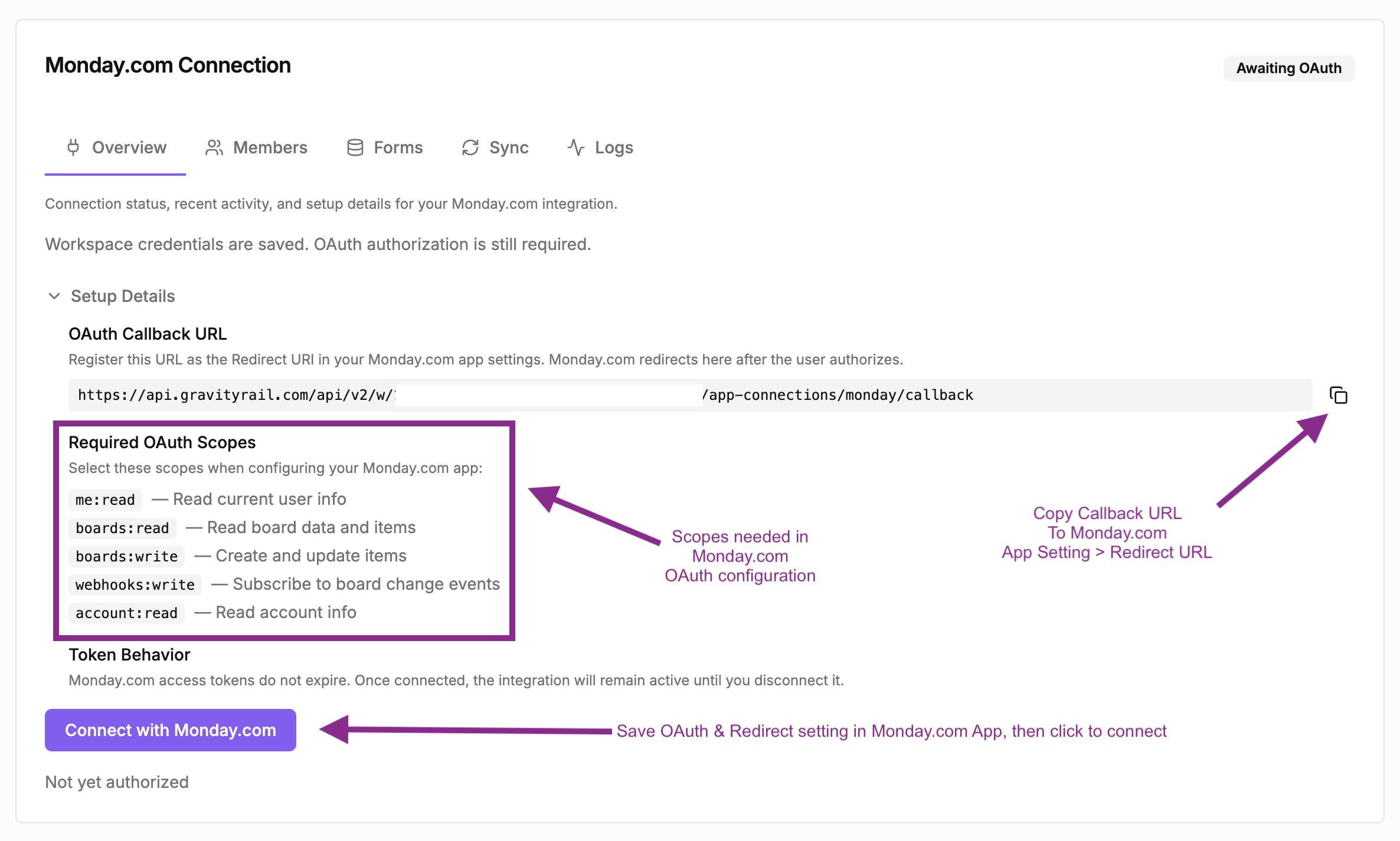 The Overview tab showing Setup Details with OAuth Callback URL, required scopes, and Connect button